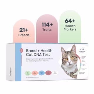 Cat DNA Test Kit