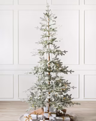 Balsam Hill Frosted Alpine Balsam Fir Tree