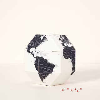 Dear World Globe

