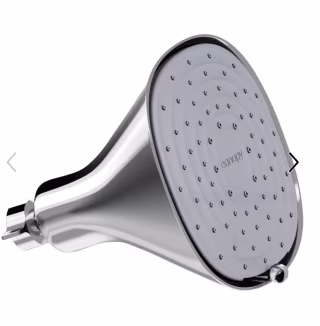 Canopy Filtered Showerhead