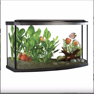 Fluval 45G LED Aquarium Kit