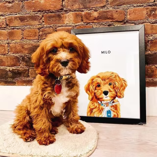 West & Willow Custom Pet Portrait