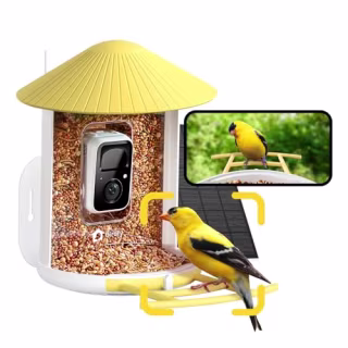 Netvue Birdfy Smart Bird Feeder