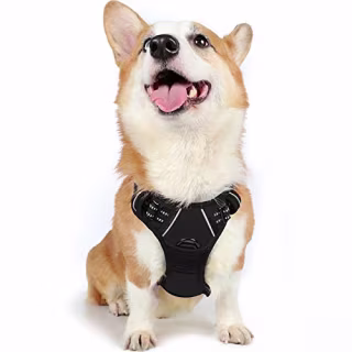 Rabbitgoo Dog Harness