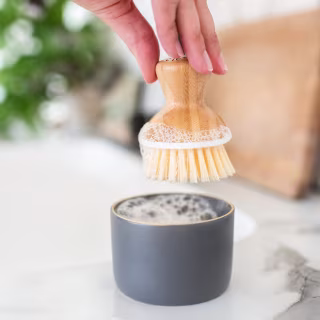 Dish Brush & Ceramic Dish