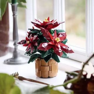 Poinsettia Set