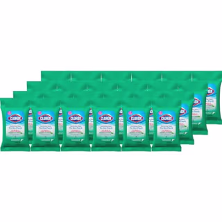 Disinfecting On The Go Travel Wipes