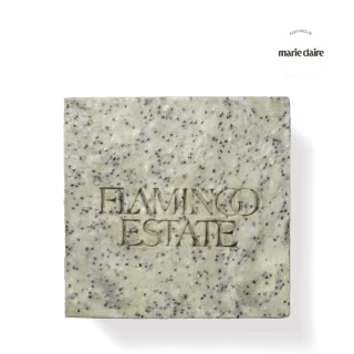 Flamingo Estate Exfoliating Peppermint Soap Brick
