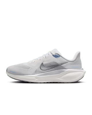 Pegasus 41