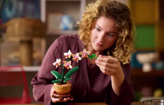 Lego Botanicals Mini Orchid