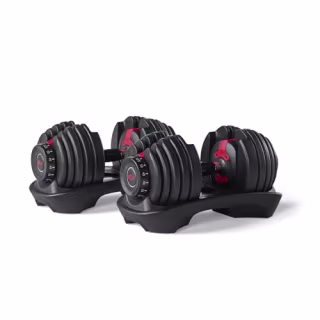 SelectTech 552 Adjustable Dumbbells
