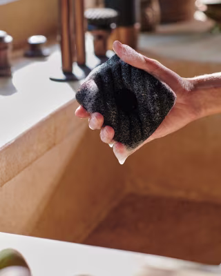 Curio The Ionic Dish Sponge