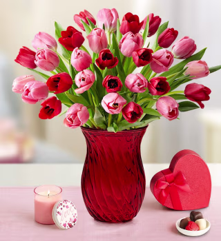 1-800-Flowers Sweetest Love Tulips