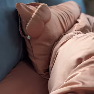 Organic Bamboo Duvet Cover Set