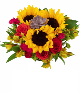 From You Flowers Sweetheart Succulent Bouquet