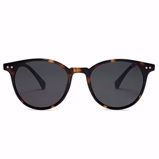 Classic Polarized Sunglasses