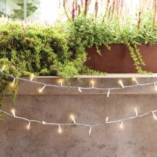 LED Miniature String Lights Clear Bulbs (100 Count)