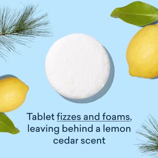 Blueland Toilet Bowl Cleaner Tablets