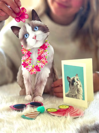 FreshCut Paper Pop-Up Pet Cards