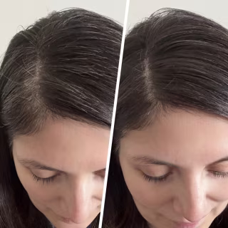Everpro Gray Away Root Touchup Quick Stick