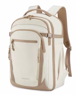 Bagsmart Travel Backpack