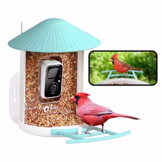 Netvue by Birdfy Smart Bird Feeder with Camera