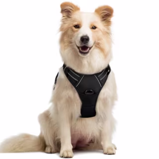 Rabbitgoo Dog Harness