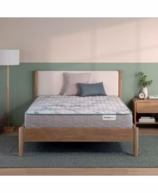 BeautySleep Dream Weaver 11.5" Firm Mattress