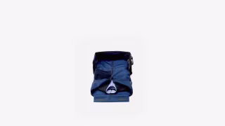 Halfday Travel Roller Bag