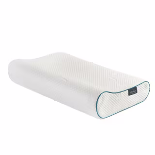 Pillow Plaza Pillowise Pillow