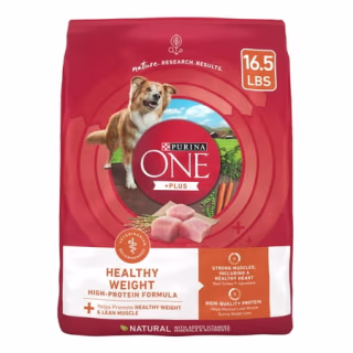 Purina ONE + Plus Adult Dry Dog Food
