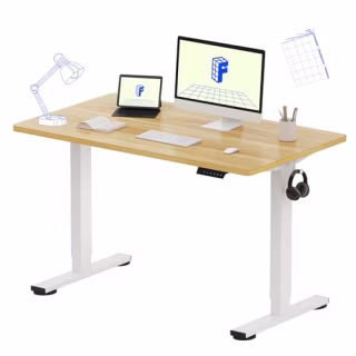 Flexispot EN1 One Piece Standing Desk