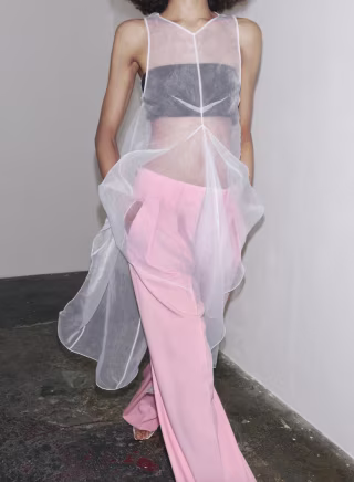 Zara ZW Collection Organza Volume Dress