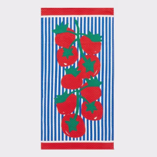 Room Essentials Tomato Beach Towel