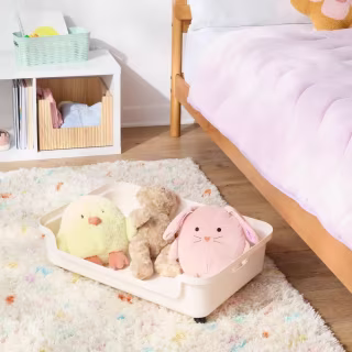 Brightroom Under Bed Rolling Storage