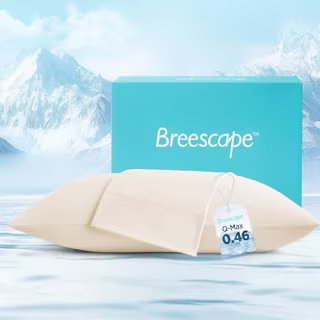 Breescape Cooling Pillow Case (Set of 2)