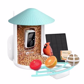 Netvue by Birdfy Pro Bird Feeder with Camera