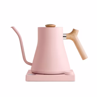 Fellow Stagg EKG Electric Gooseneck Kettle