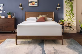 Tempur-Pedic Tempur-Cloud Mattress Topper (Queen)
