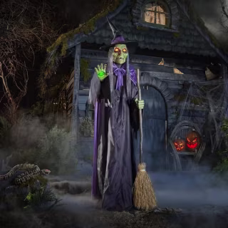 Home Accents Holiday Gruesome Grounds Spellcasting Witch