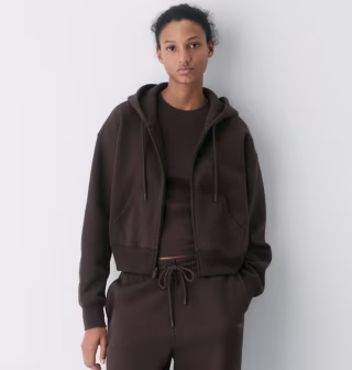 Aritzia Cozy Sweatfleece Boyfriend Boxy Zip Hoodie