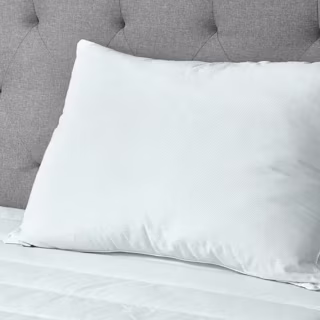 Sealy Cool Touch Pillow