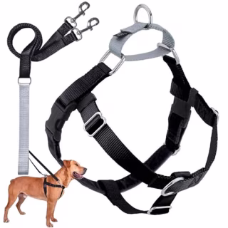 2 Hounds Design Freedom Harness