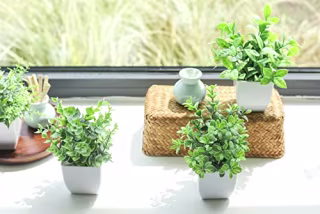 Der Rose Mini Fake Plants (Set of 4)