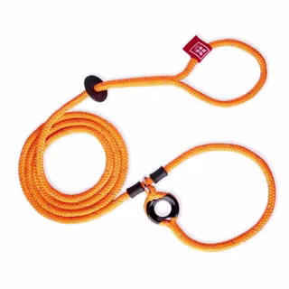 Harness Lead Leash