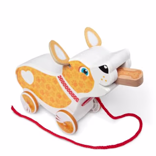 Melissa & Doug Feed, Walk and Poo Puppy