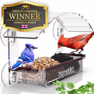 Homebird Window Bird Feeder