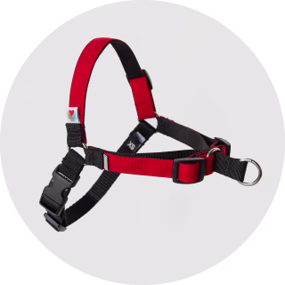 Wildebeest No-Pull Dog Harness