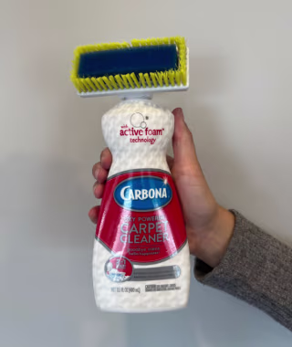 Carbona Carpet Cleaner with Brush