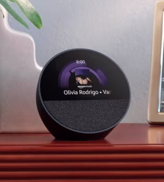 Echo Spot